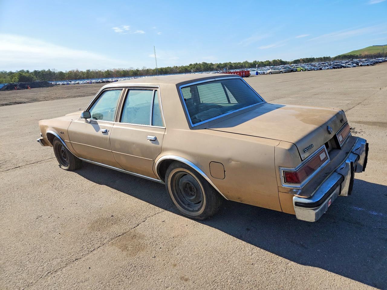 DODG DIPLOMAT 1983 — 3