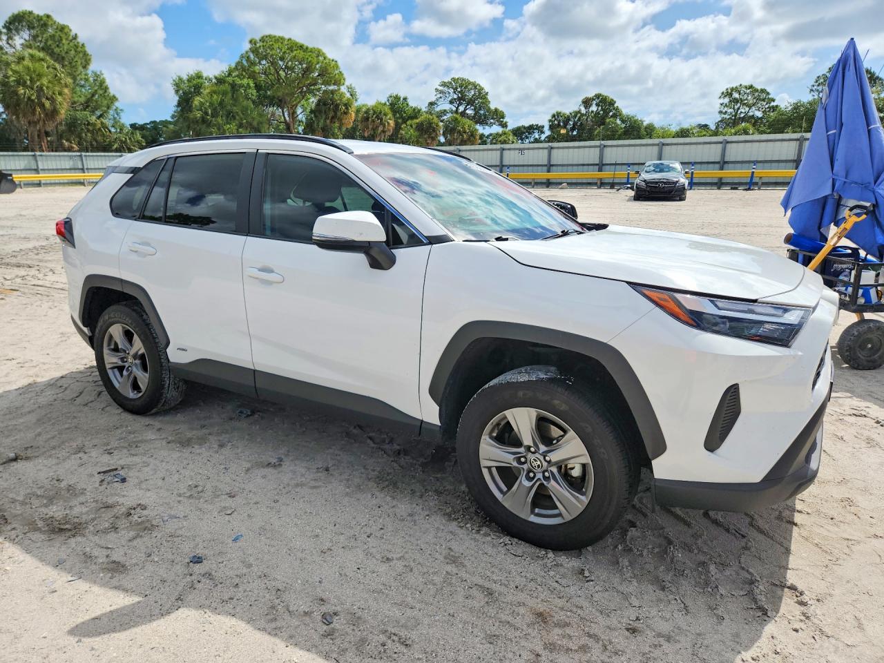 TOYOTA RAV4 HYBRID 2024 — 5