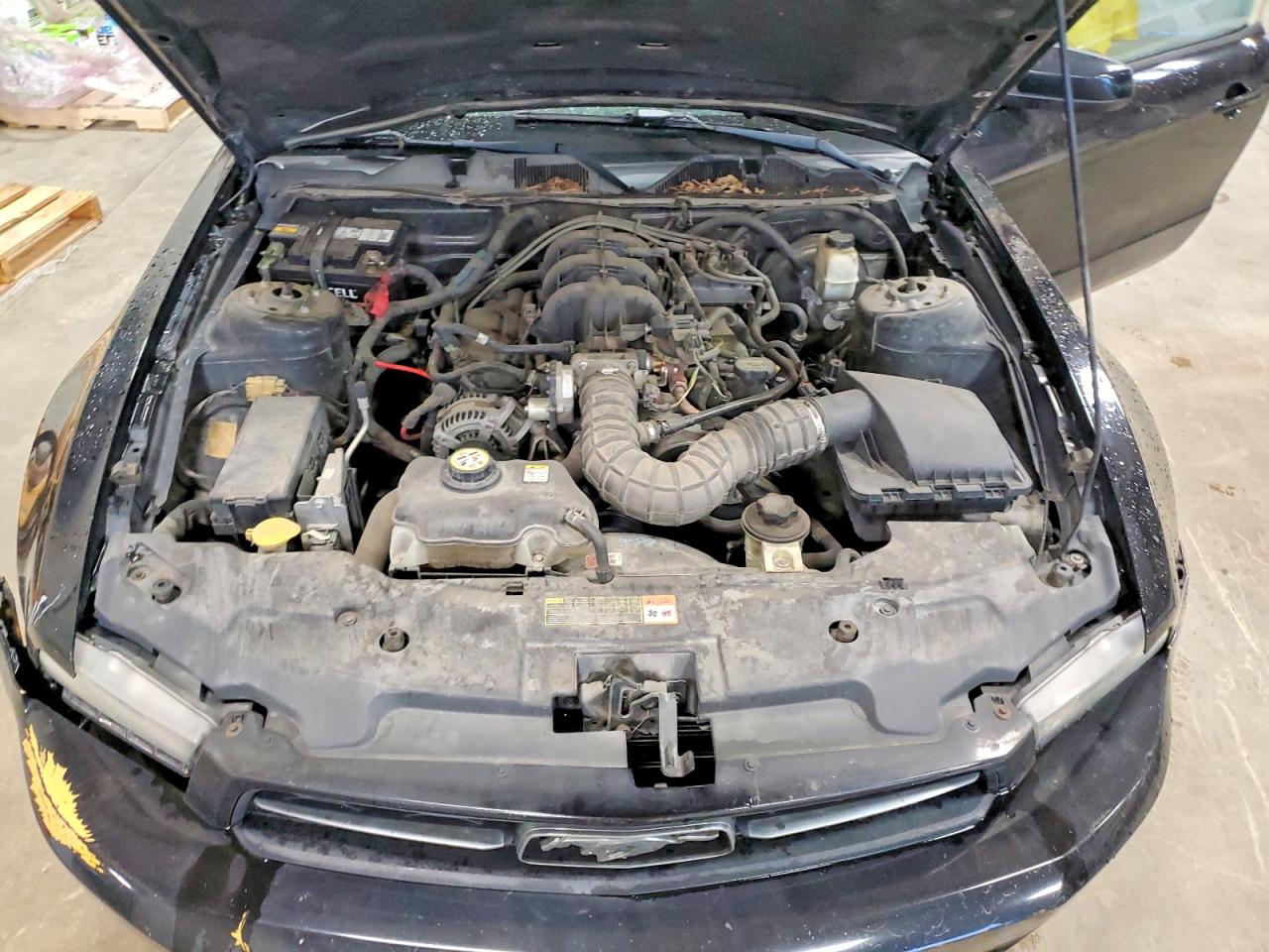 FORD MUSTANG 2010 — 12