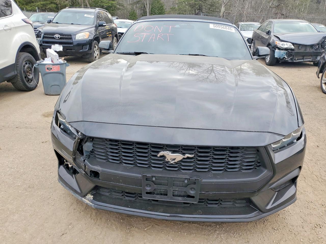 FORD MUSTANG 2024 — 6