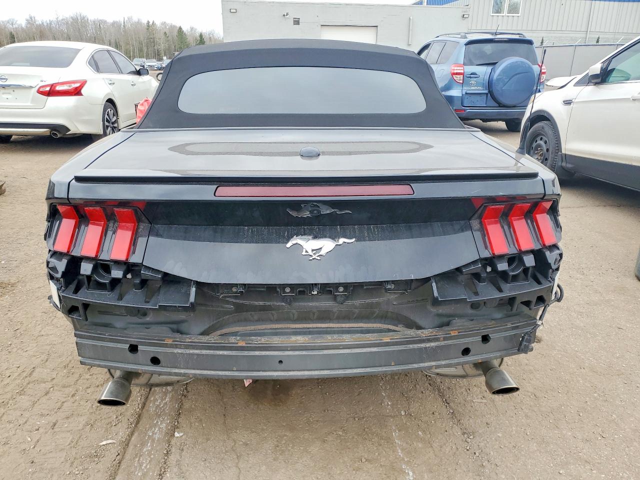 FORD MUSTANG 2024 — 7