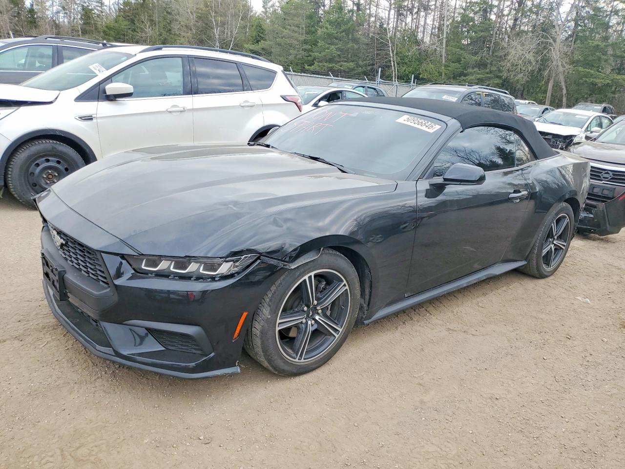 FORD MUSTANG 2024 — 2