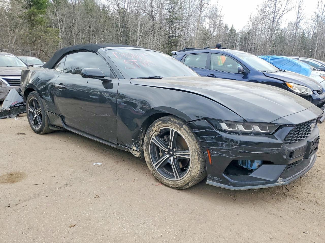FORD MUSTANG 2024 — 5