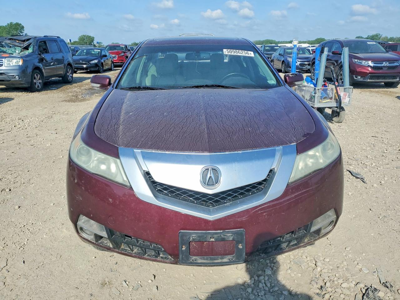ACURA TL 2010 — 6