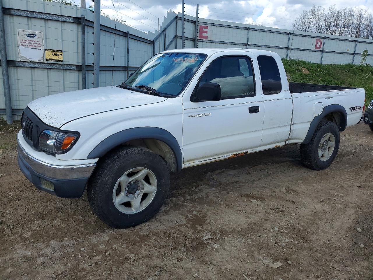 TOYOTA TACOMA 2003 — 2