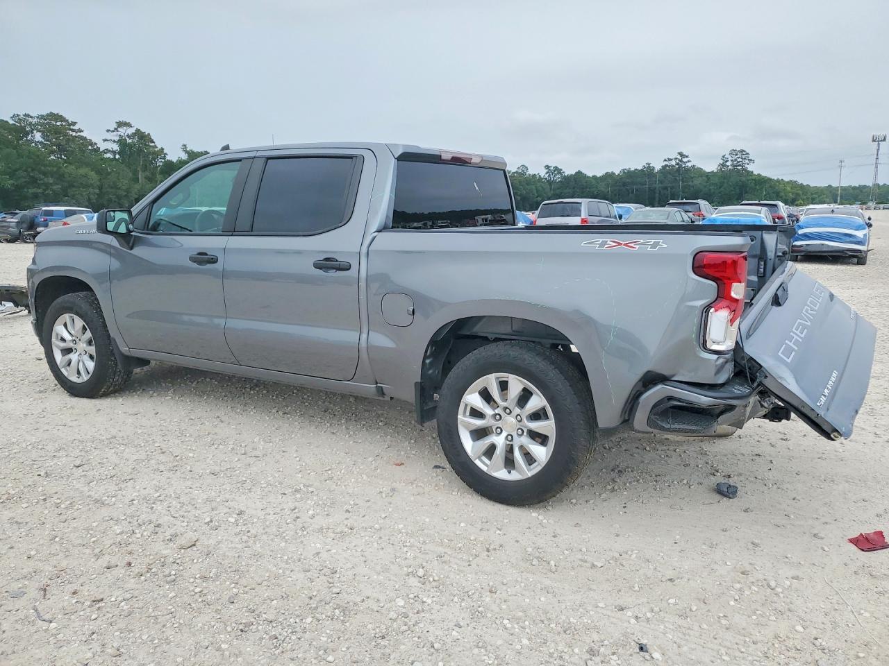 CHEVROLET SILVERADO LTD 2022 — 3
