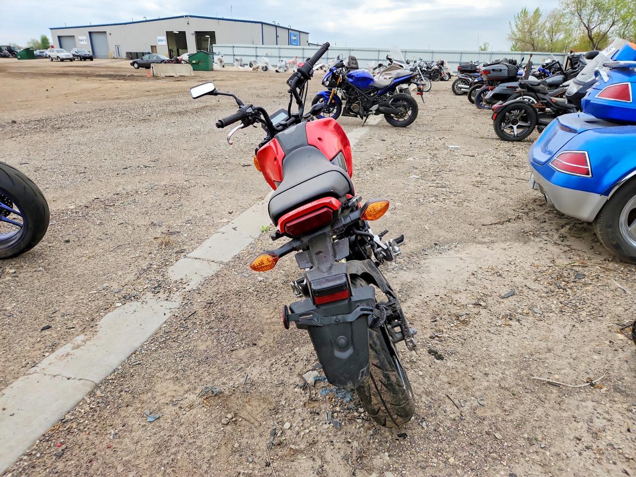 2025 HONDA GROM 125