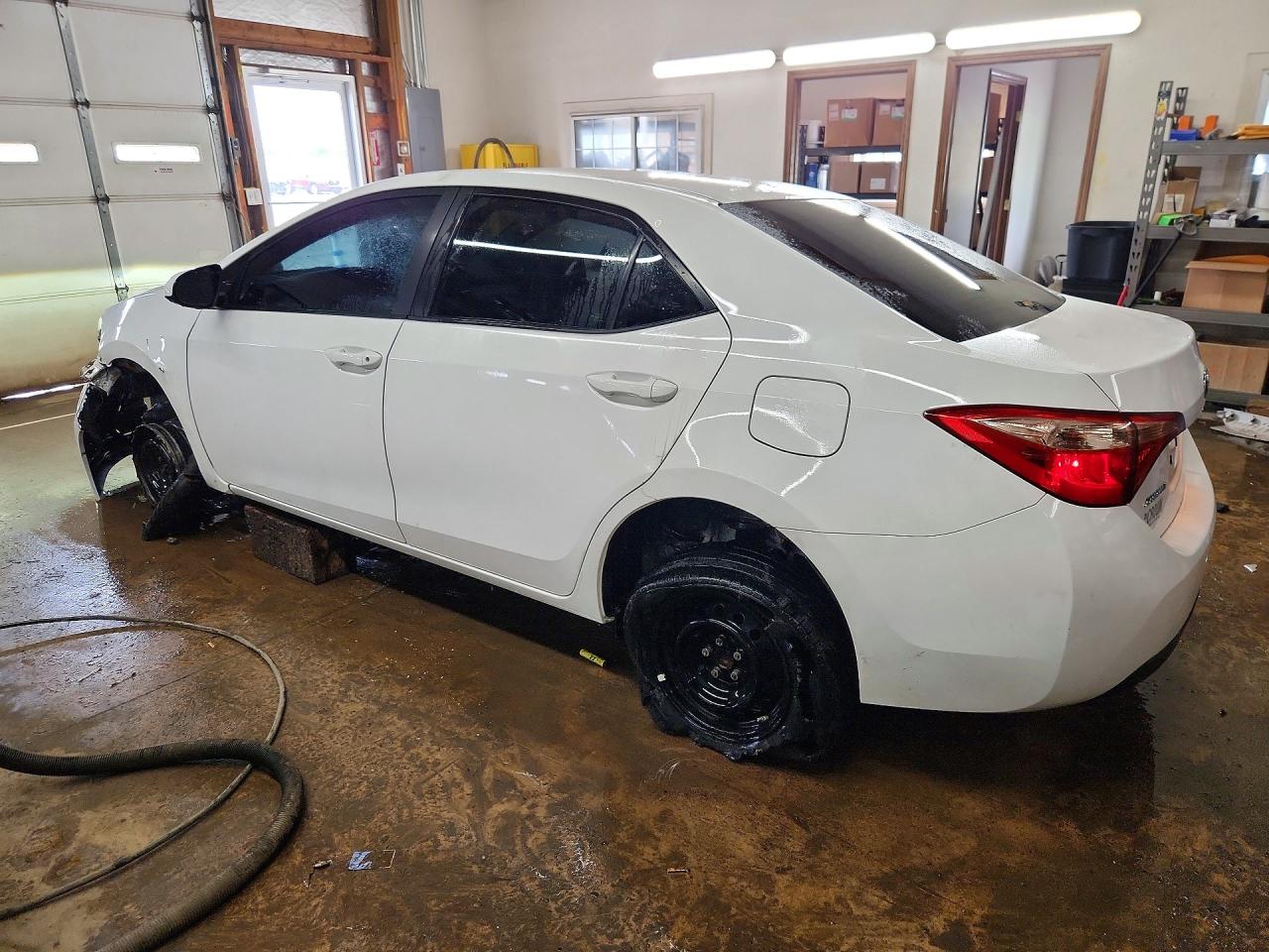 TOYOTA COROLLA 2019 — 3