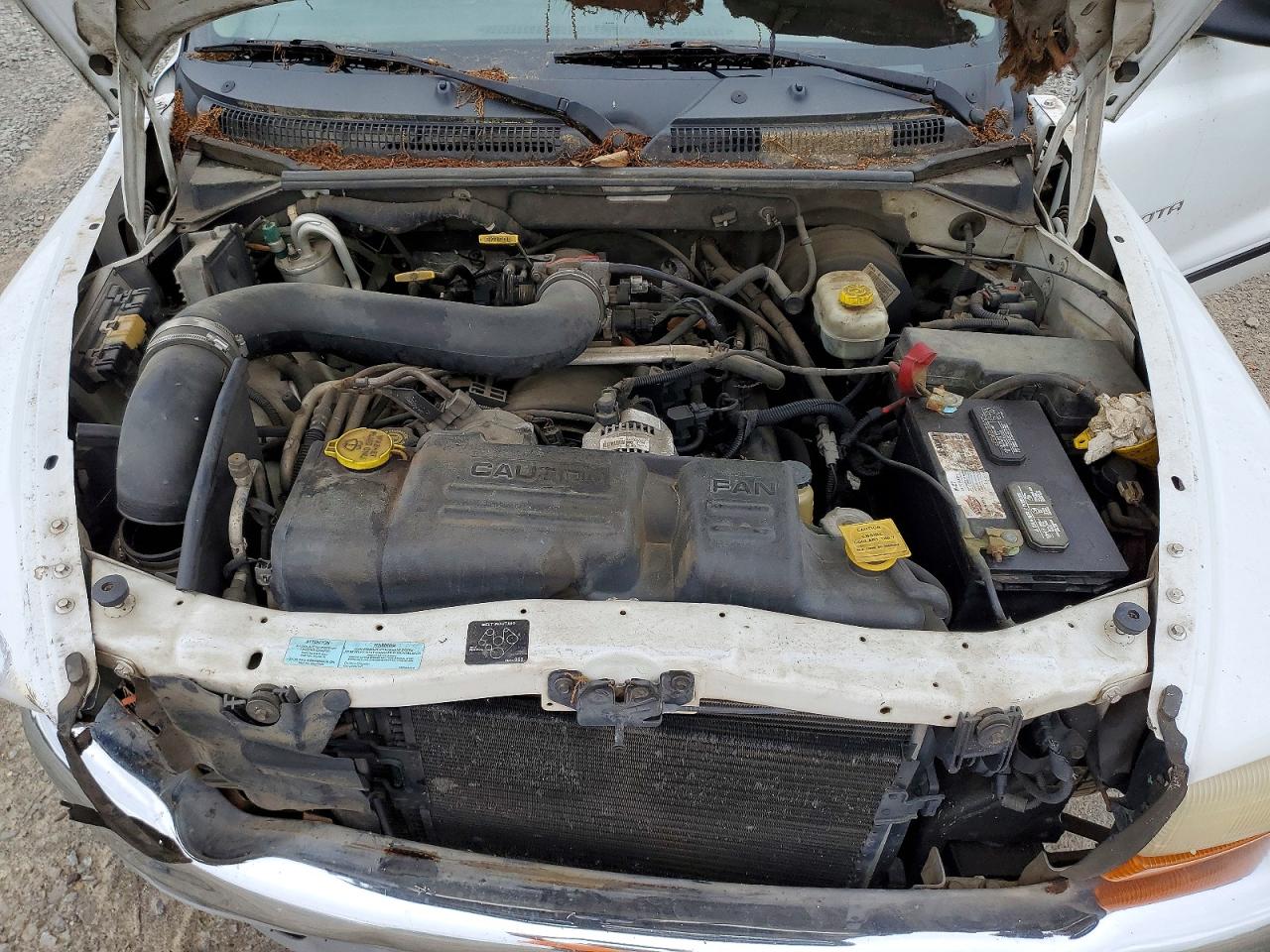 DODGE DAK 2001 — 12