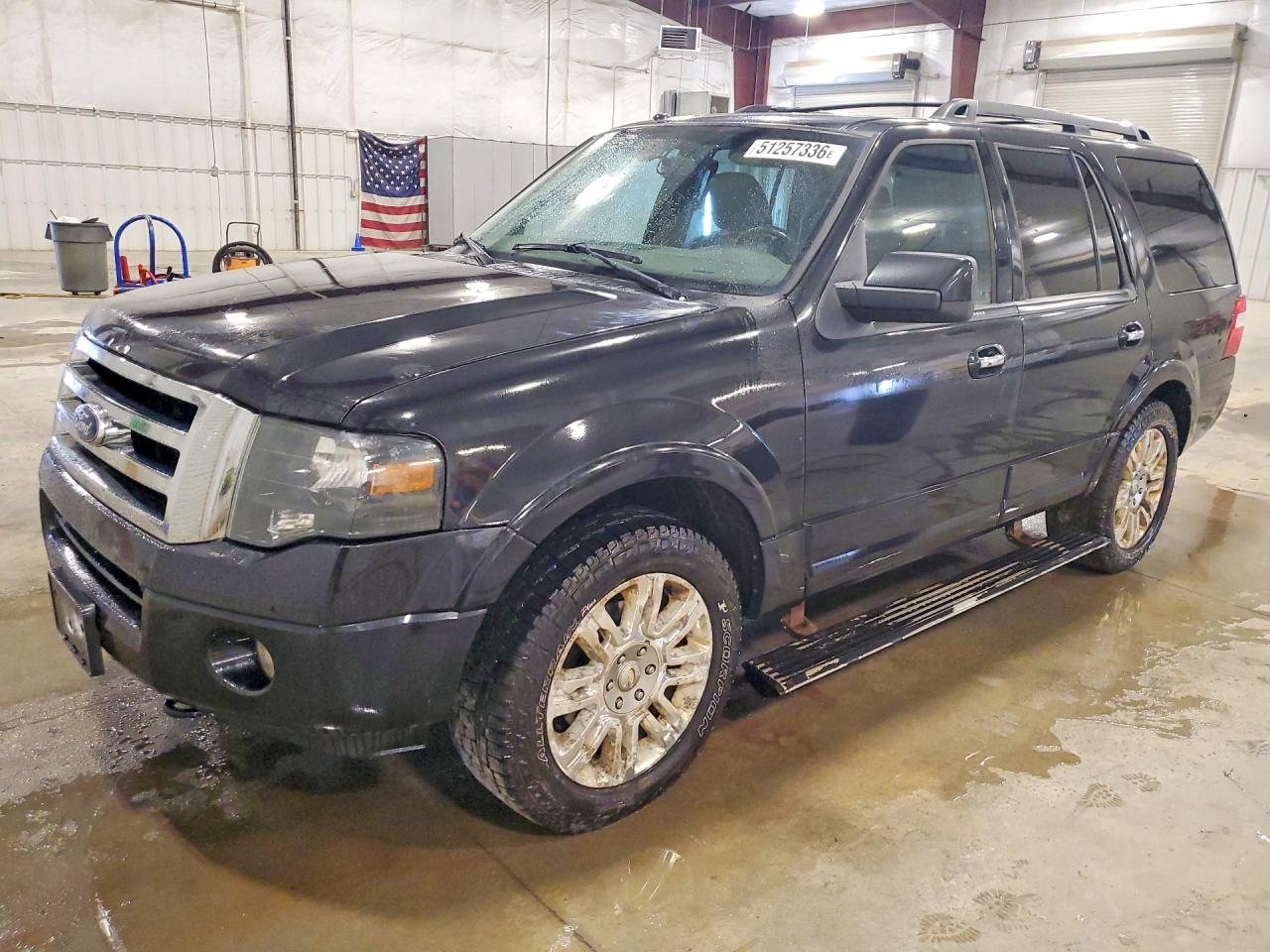 FORD EXPEDITION 2013 — 2