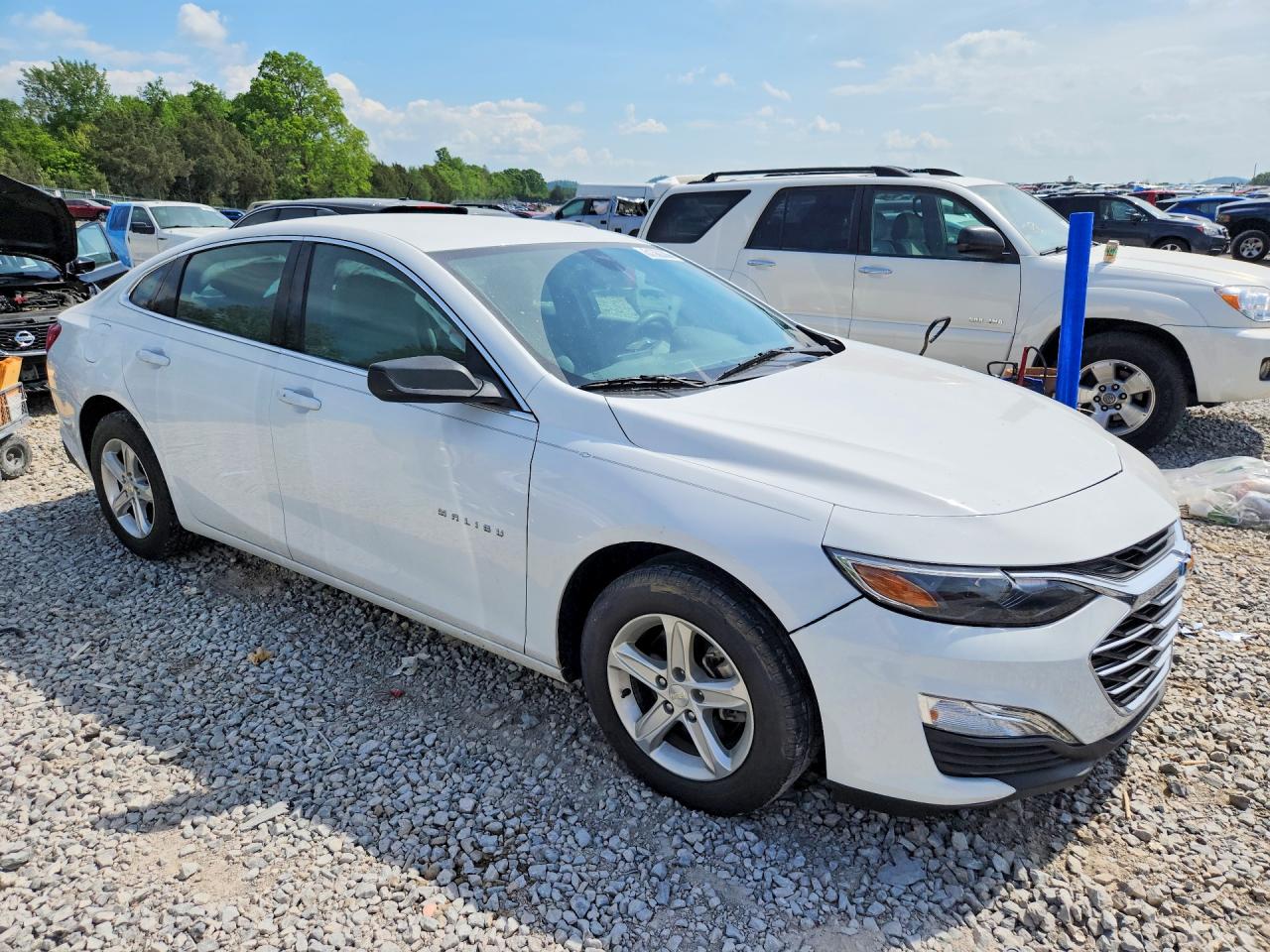 CHEVROLET MALIBU 2019 — 5
