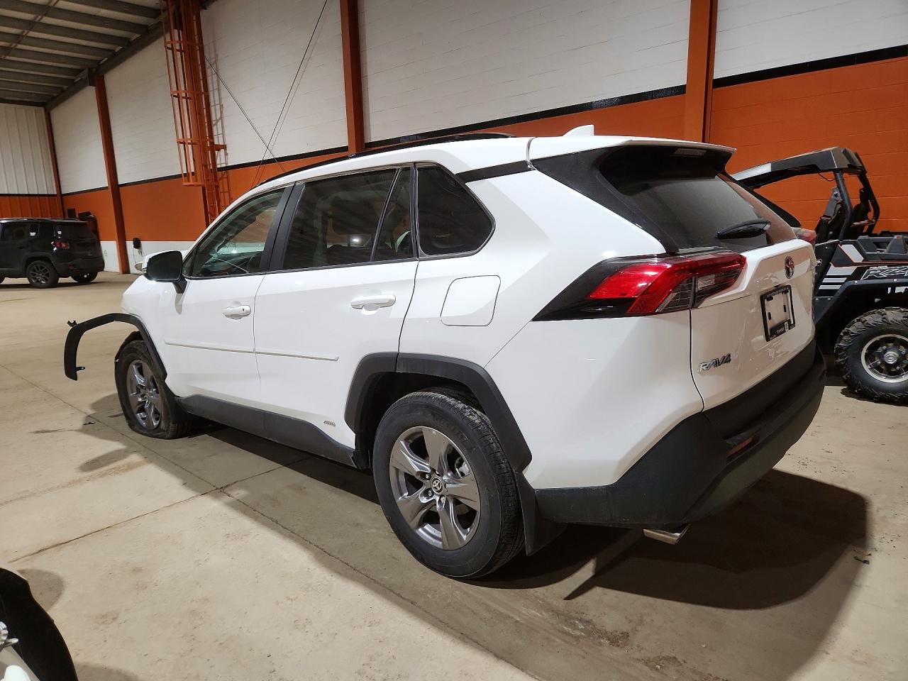 TOYOTA RAV4 HYBRID 2024 — 3