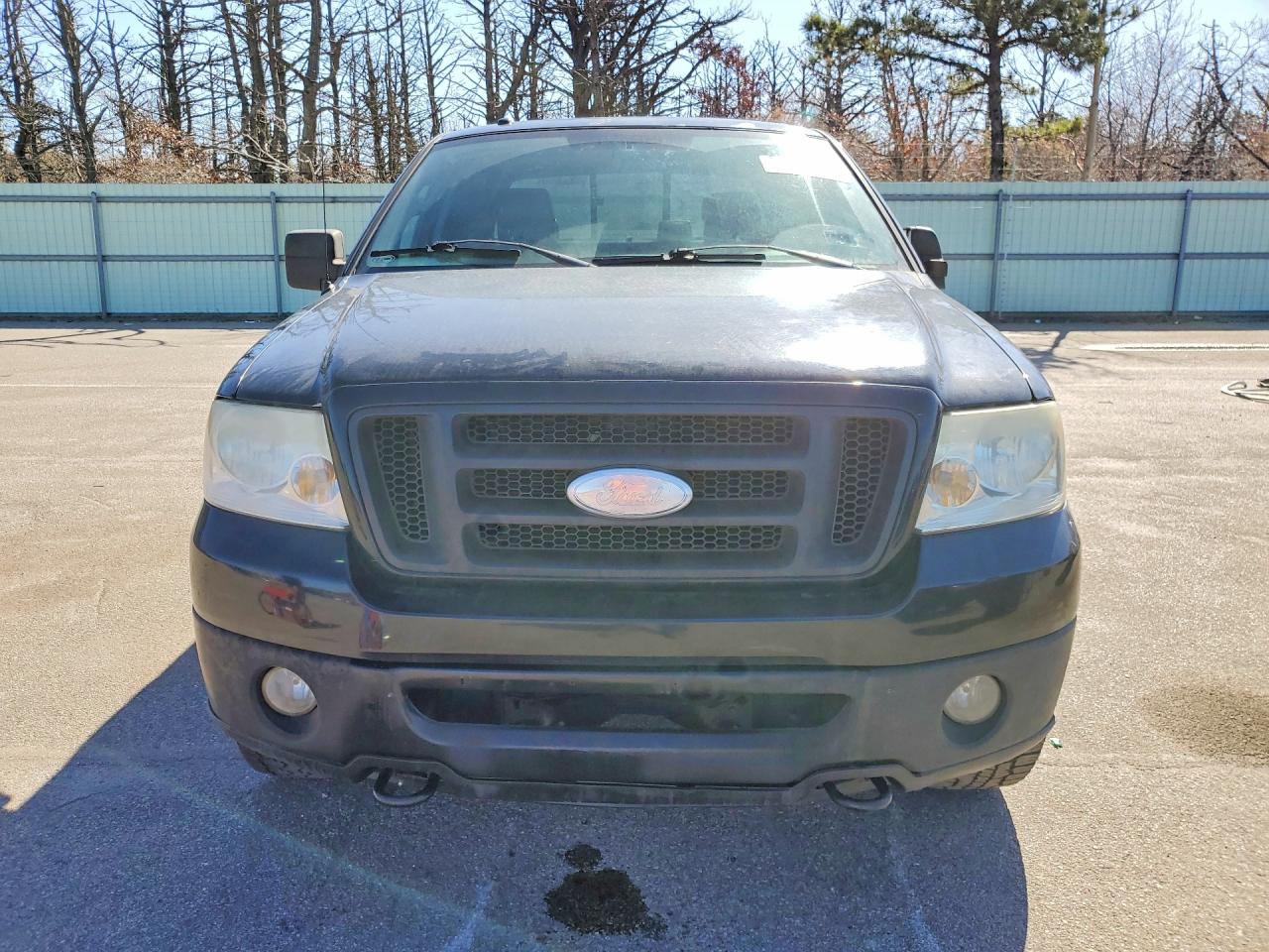 FORD F-150 2007 — 6