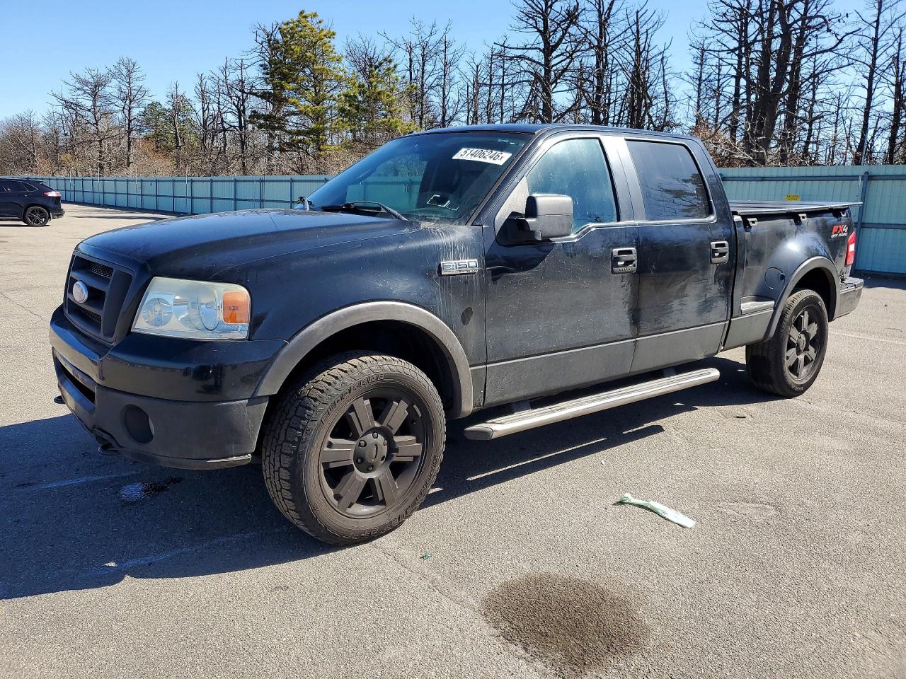 FORD F-150 2007 — 2