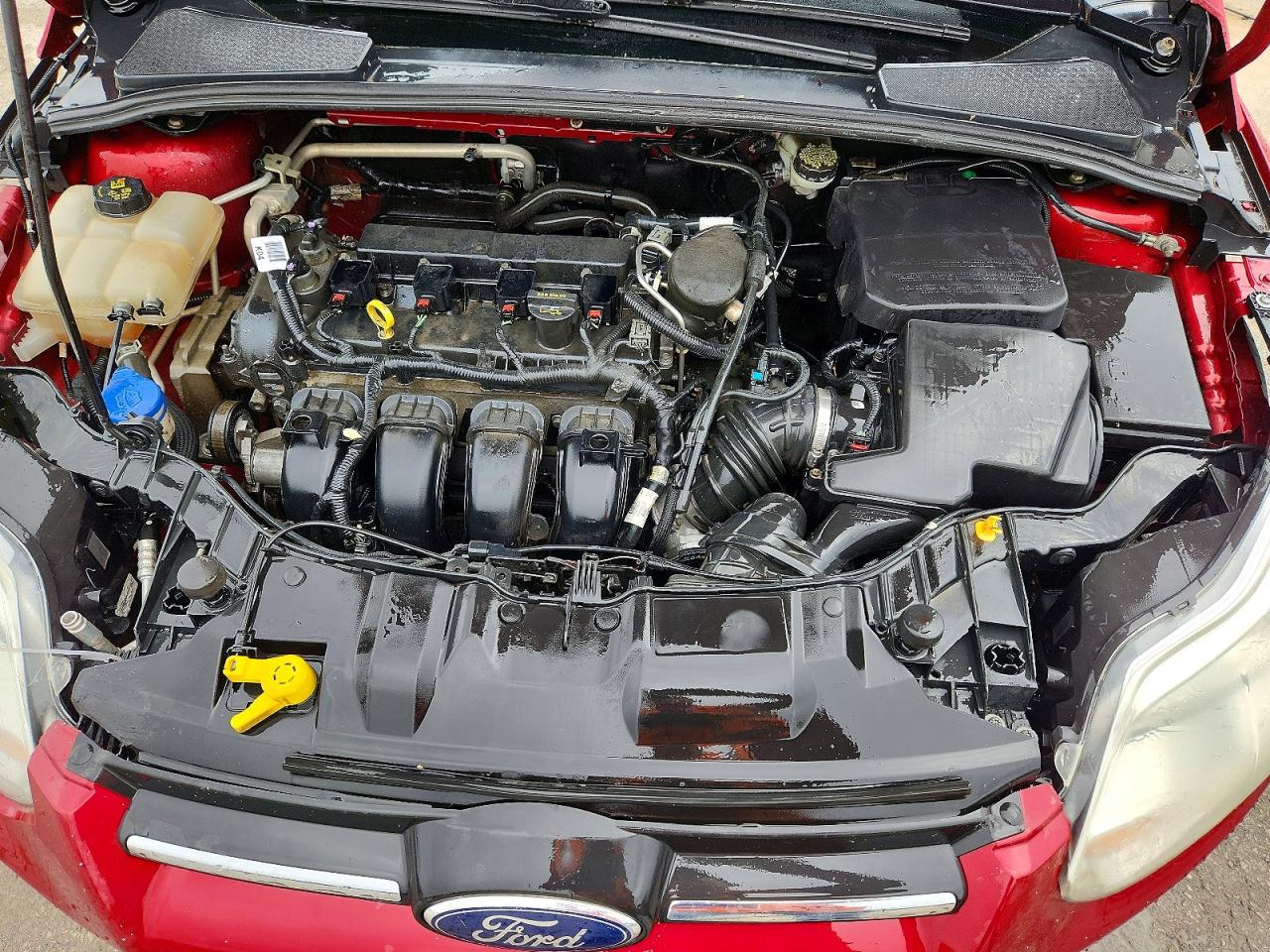FORD FOCUS 2014 — 12