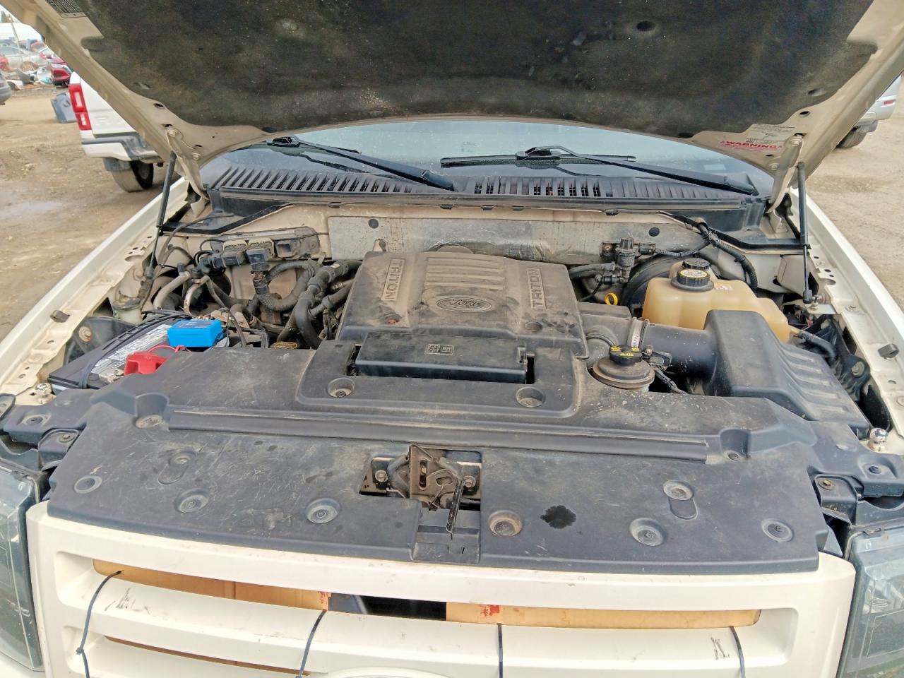 FORD EXPEDITION 2007 — 12