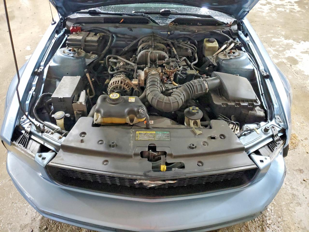 FORD MUSTANG 2005 — 12