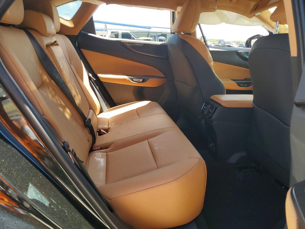 LEXUS NX 2025 — 12