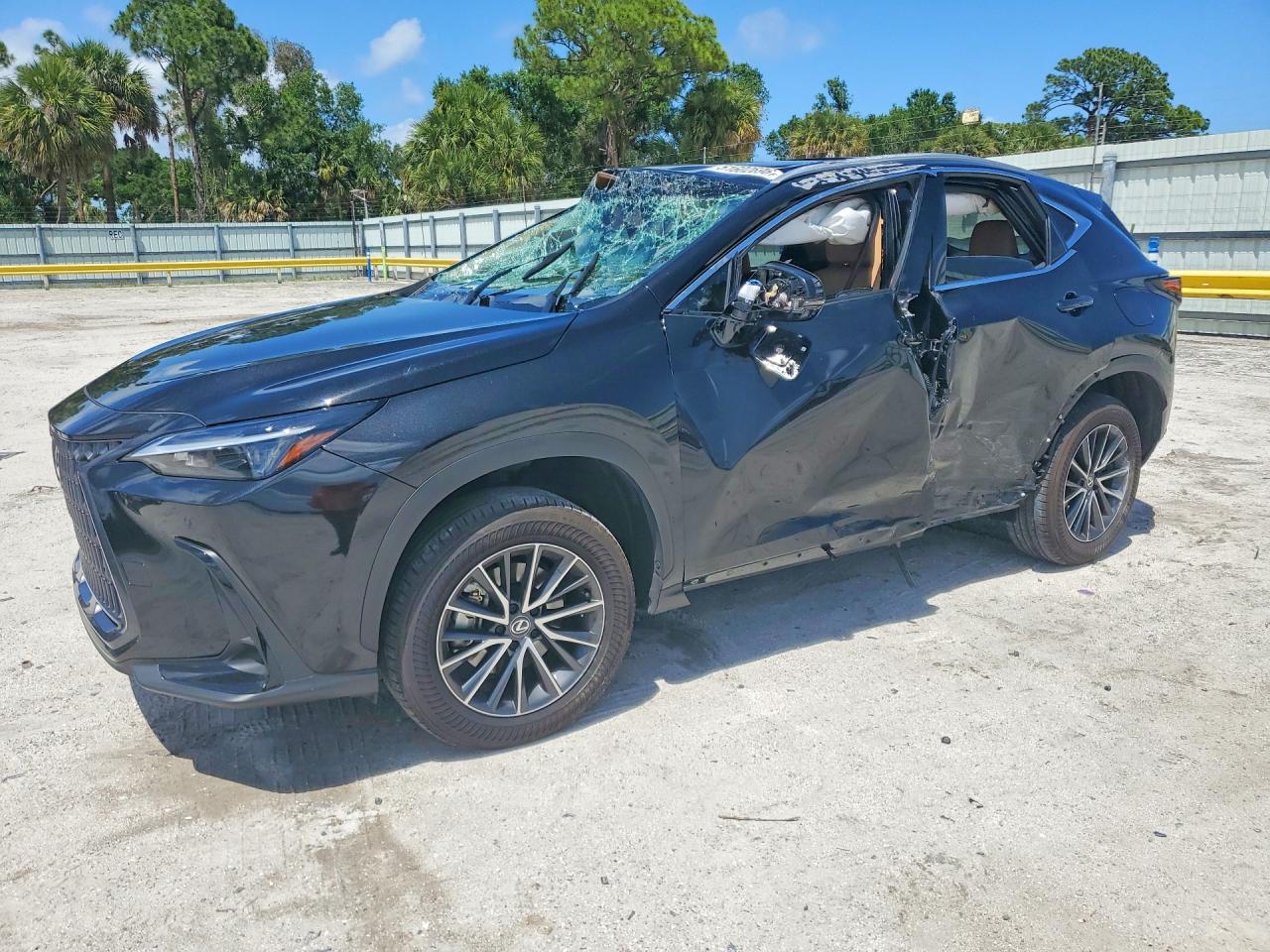 LEXUS NX 2025 — 2