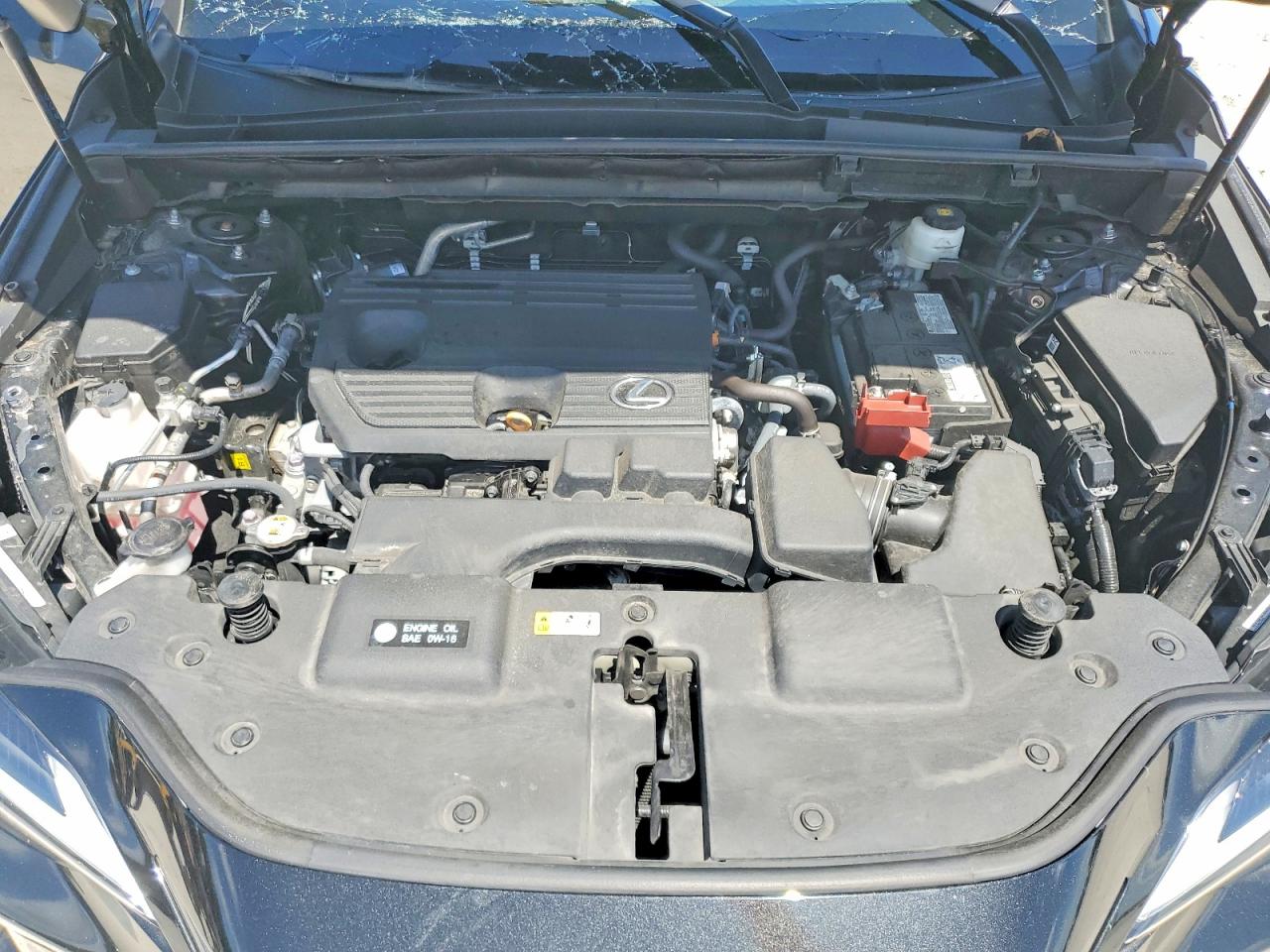 LEXUS NX 2025 — 13