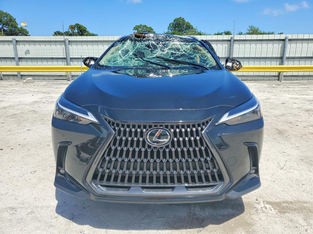 LEXUS NX 2025 — 6