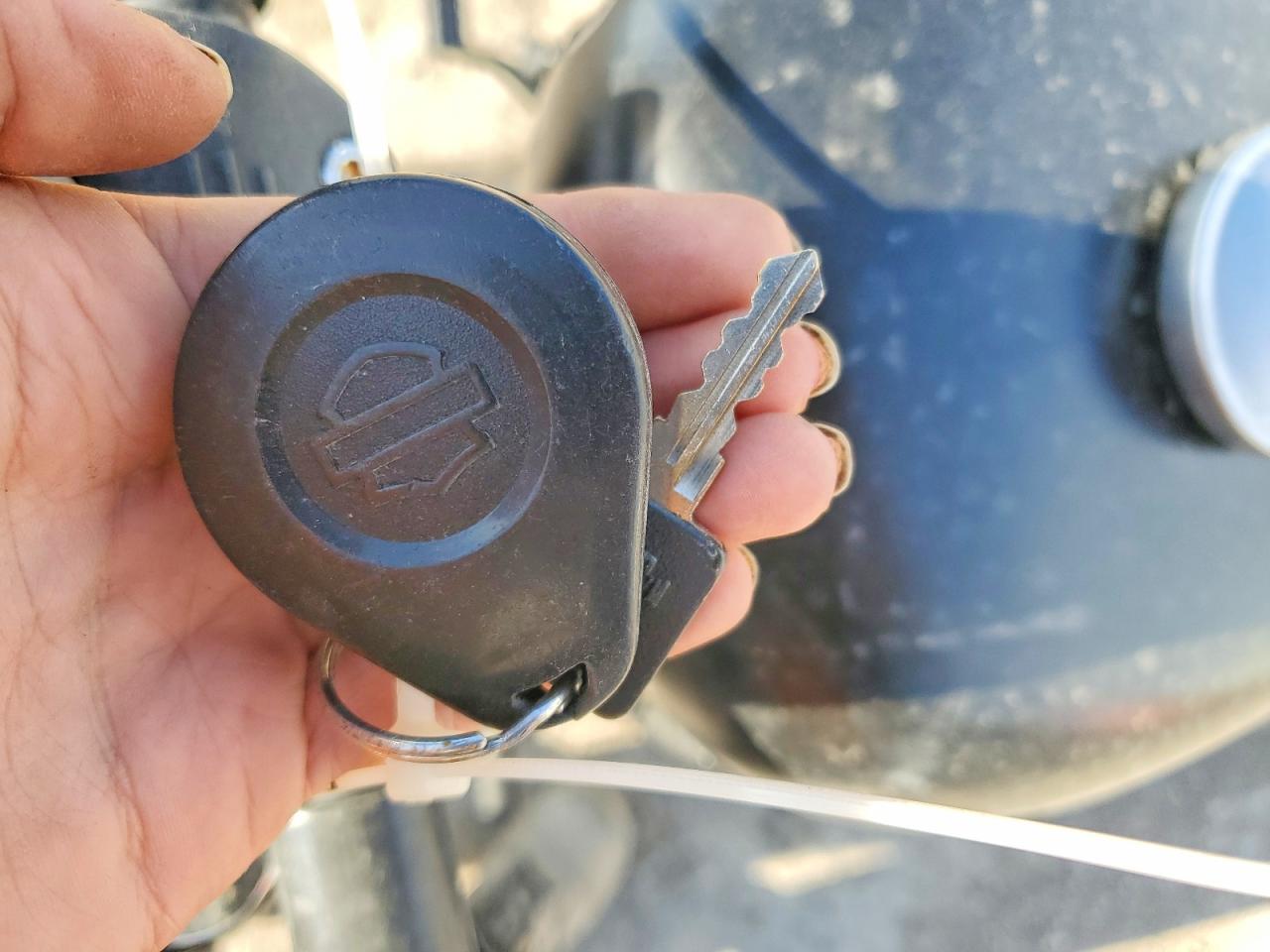 HARLEY-DAVIDSON XL883 2022 — 9