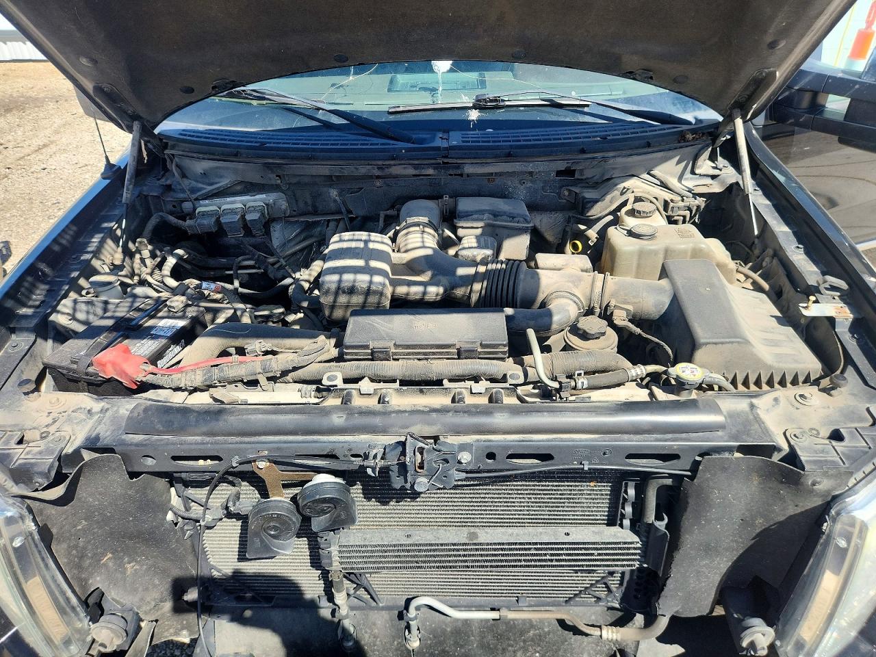 FORD F150 2010 — 12