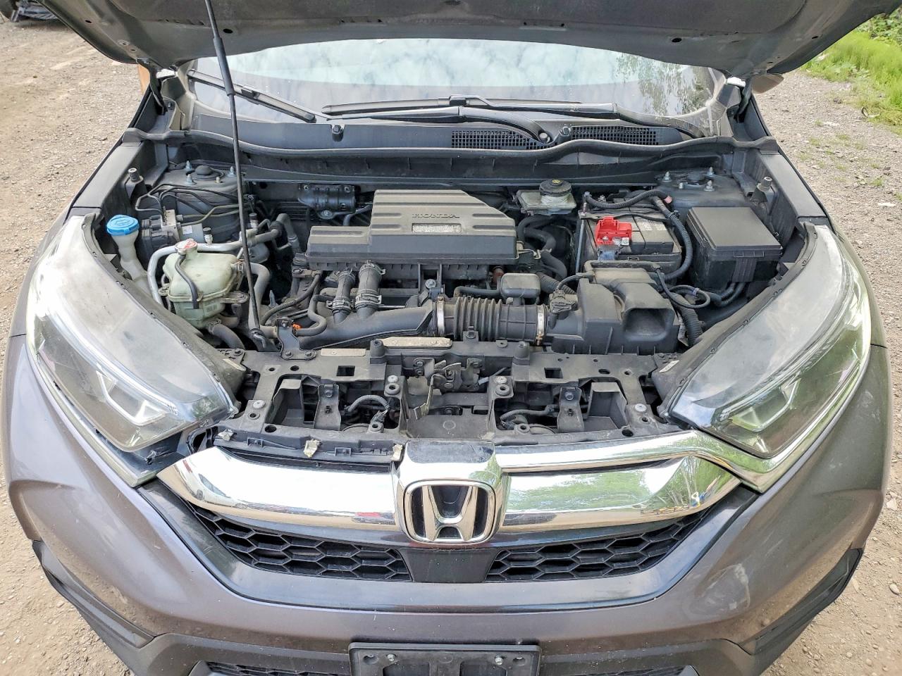 HONDA CR-V 2019 — 13