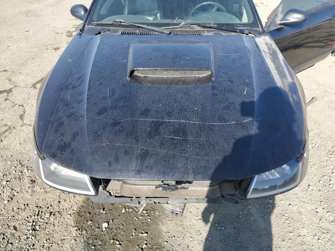 FORD MUSTANG 2002 — 12