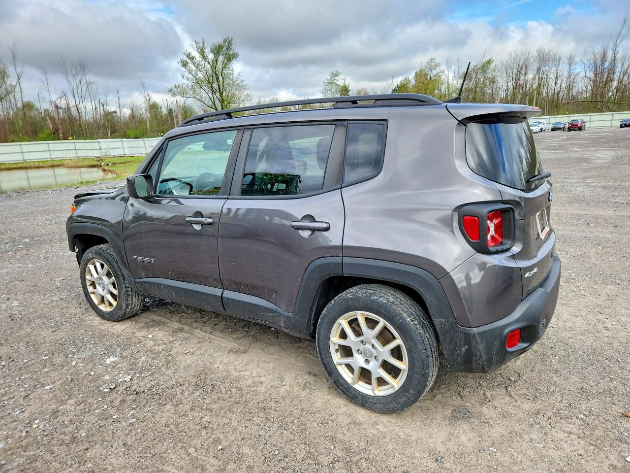 JEEP RENEGADE 2019 — 3
