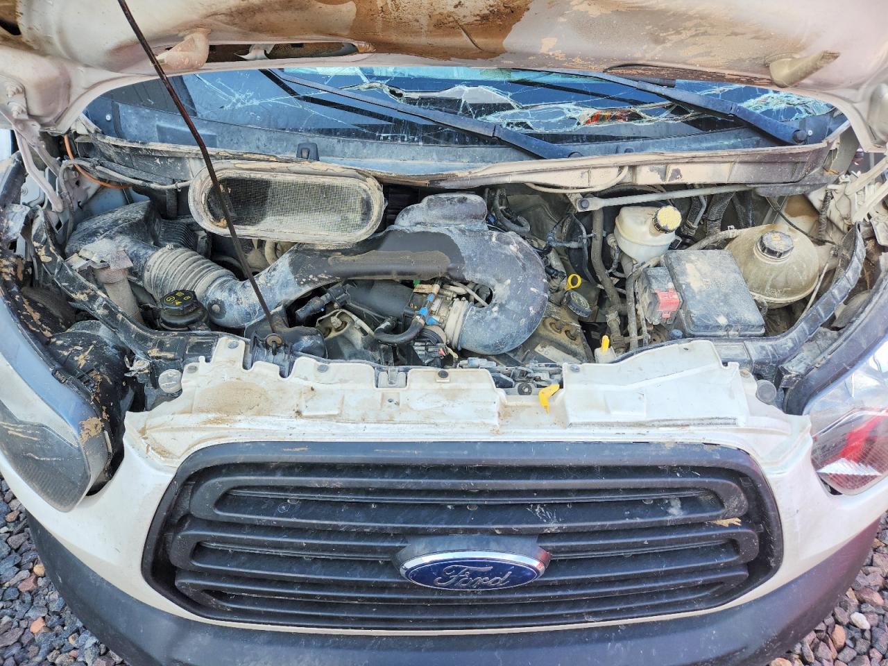 FORD TRANSIT 2019 — 12