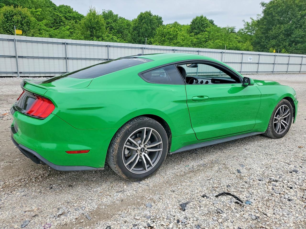 FORD MUSTANG 2019 — 4