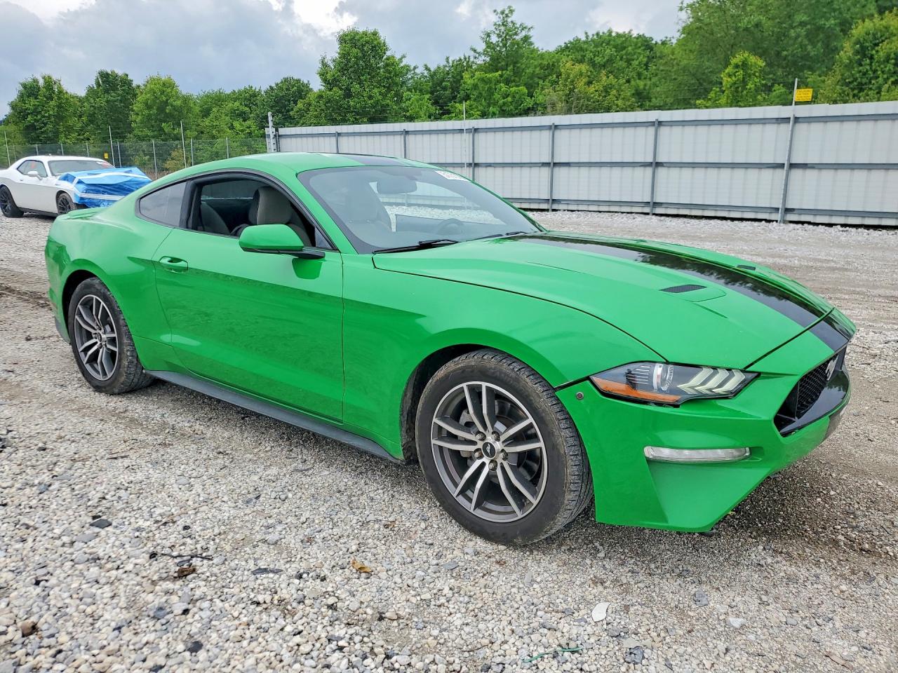 FORD MUSTANG 2019 — 5