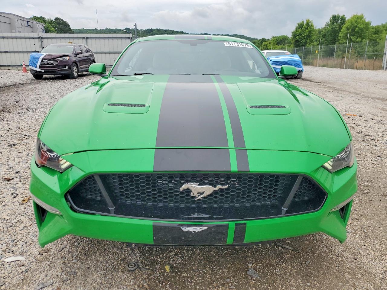 FORD MUSTANG 2019 — 6