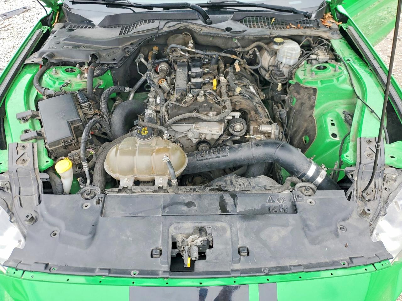 FORD MUSTANG 2019 — 12