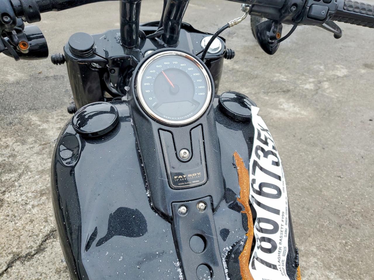 HARLEY-DAVIDSON FLFBSANV 2020 — 8