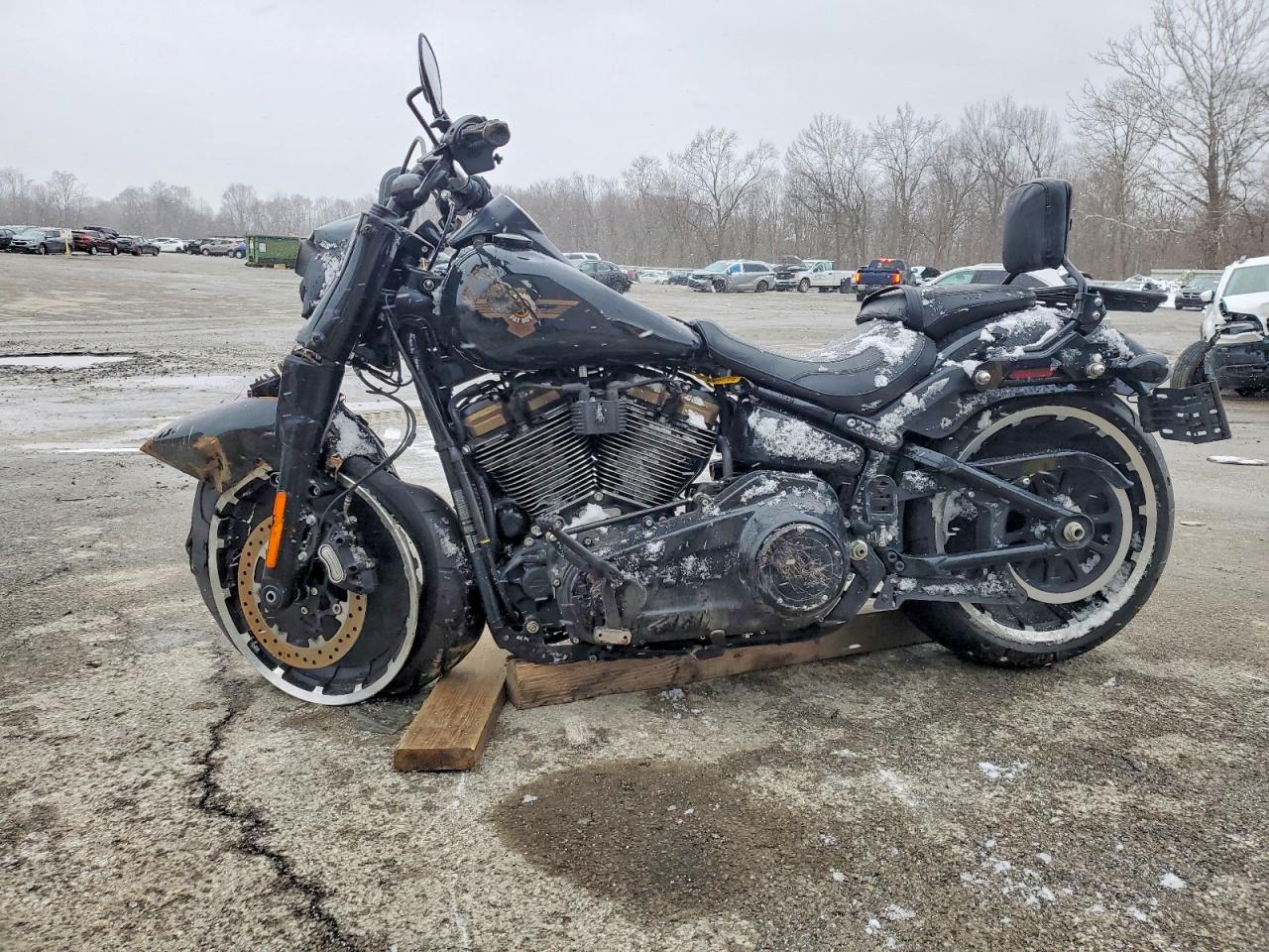 HARLEY-DAVIDSON FLFBSANV 2020 — 4