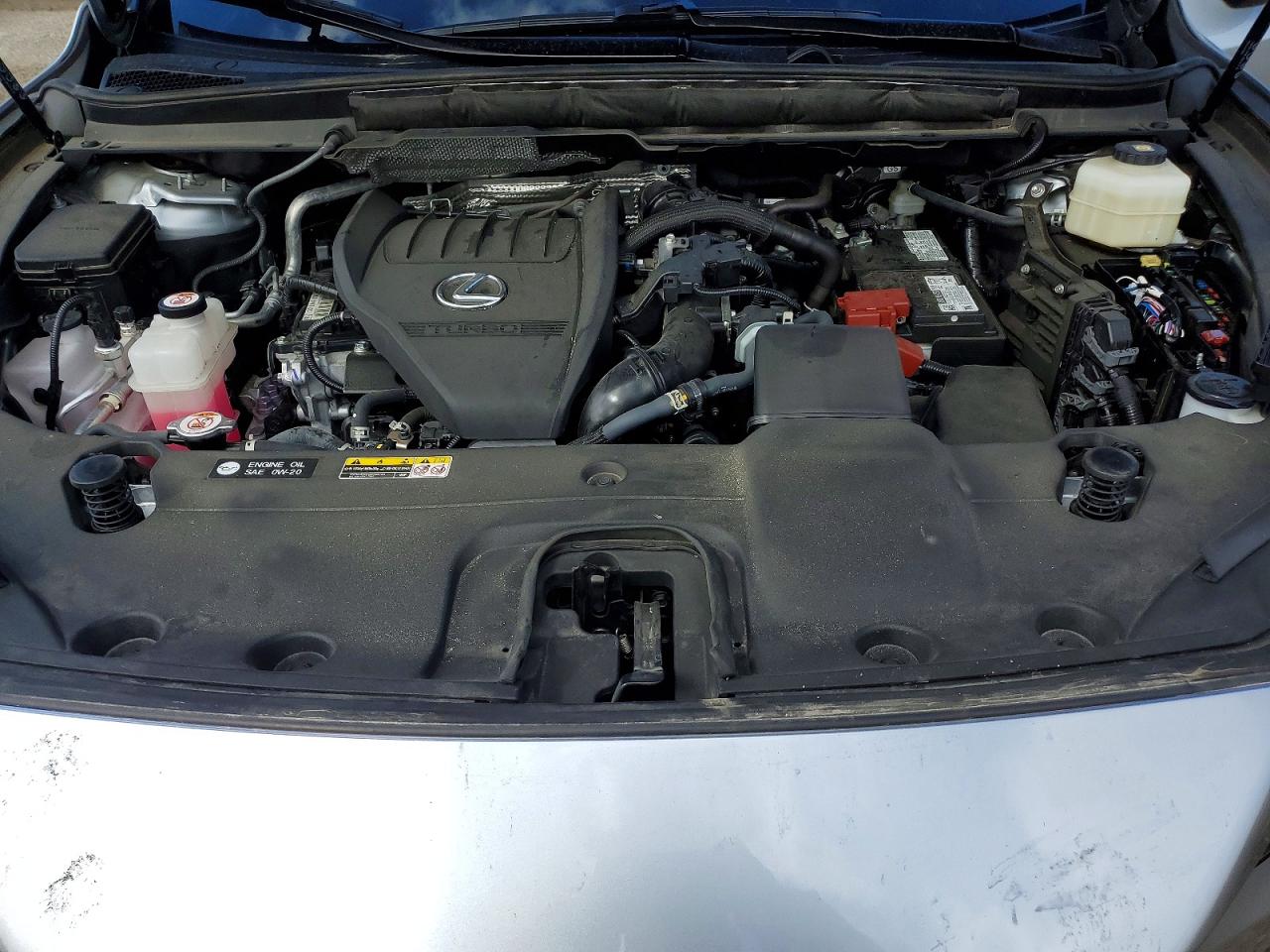 LEXUS RX 2024 — 13