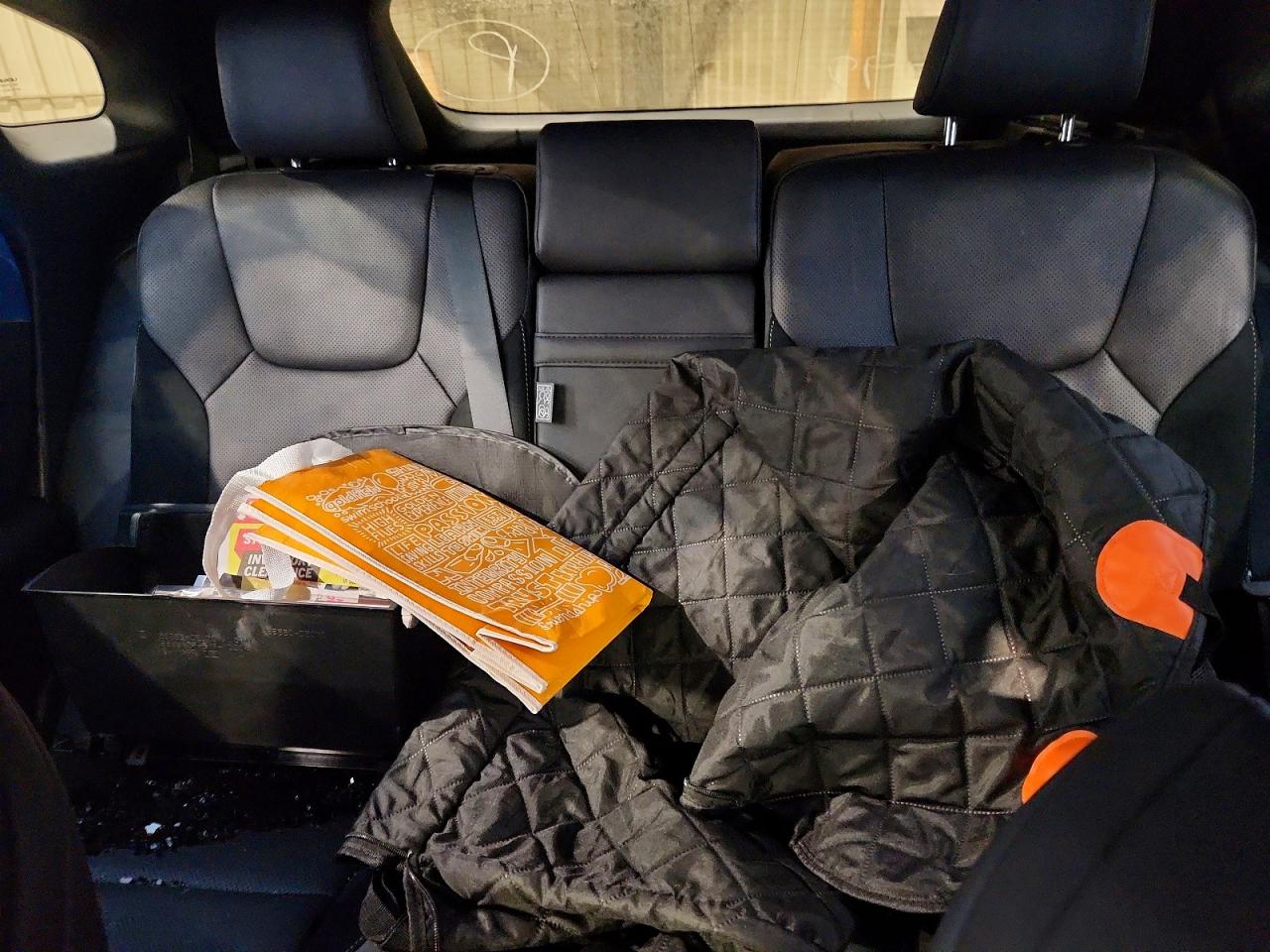 LEXUS RX 500H 2024 — 11