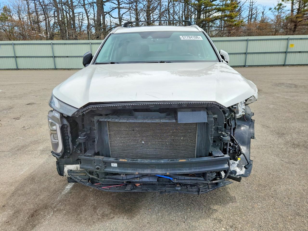 HYUNDAI PALISADE 2021 — 6