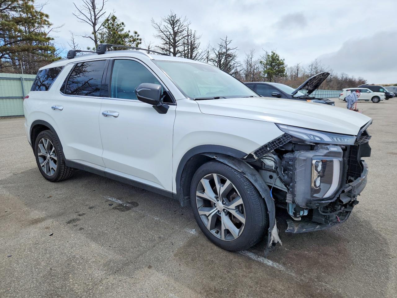 HYUNDAI PALISADE 2021 — 5