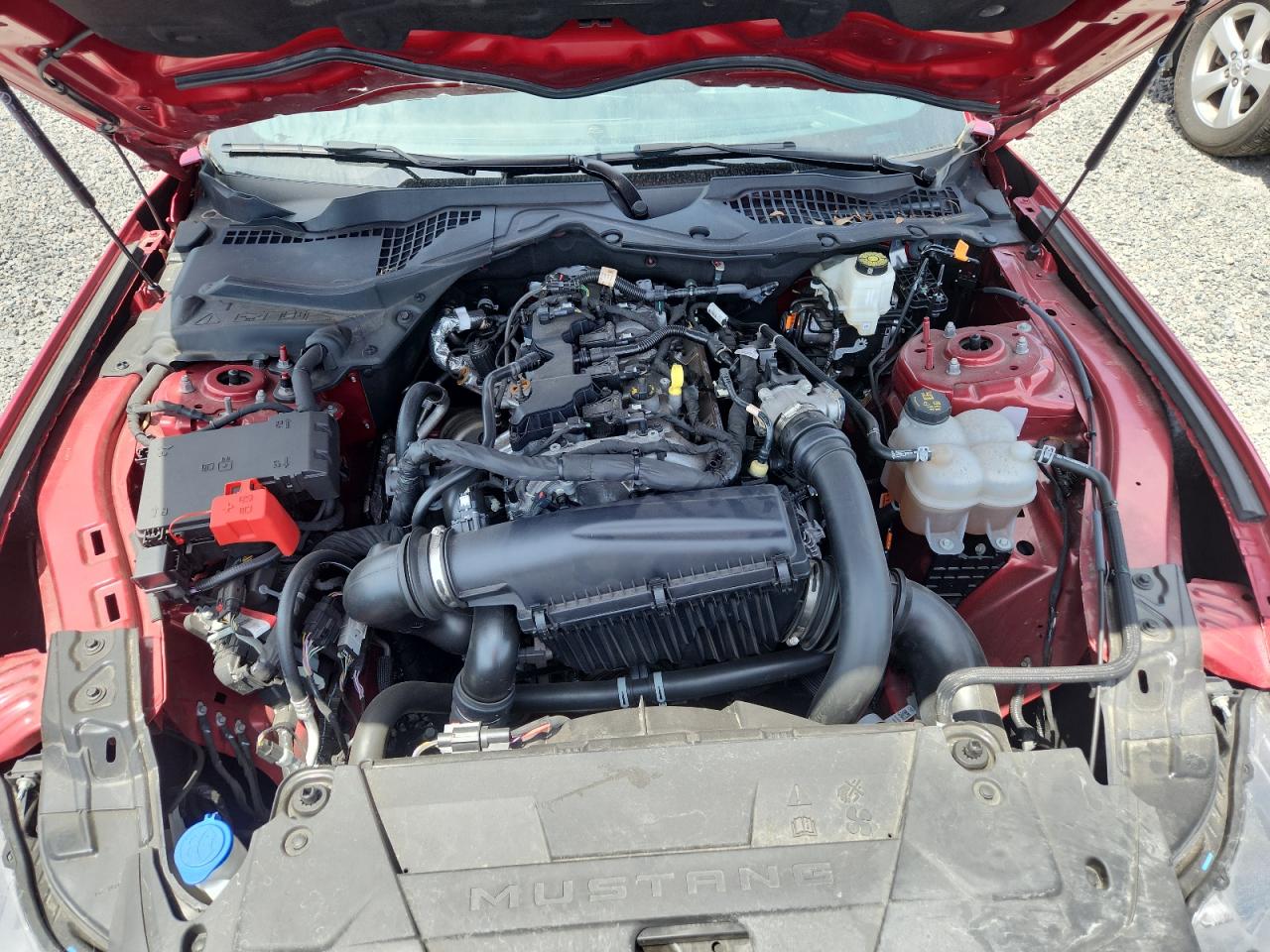 FORD MUSTANG 2024 — 12