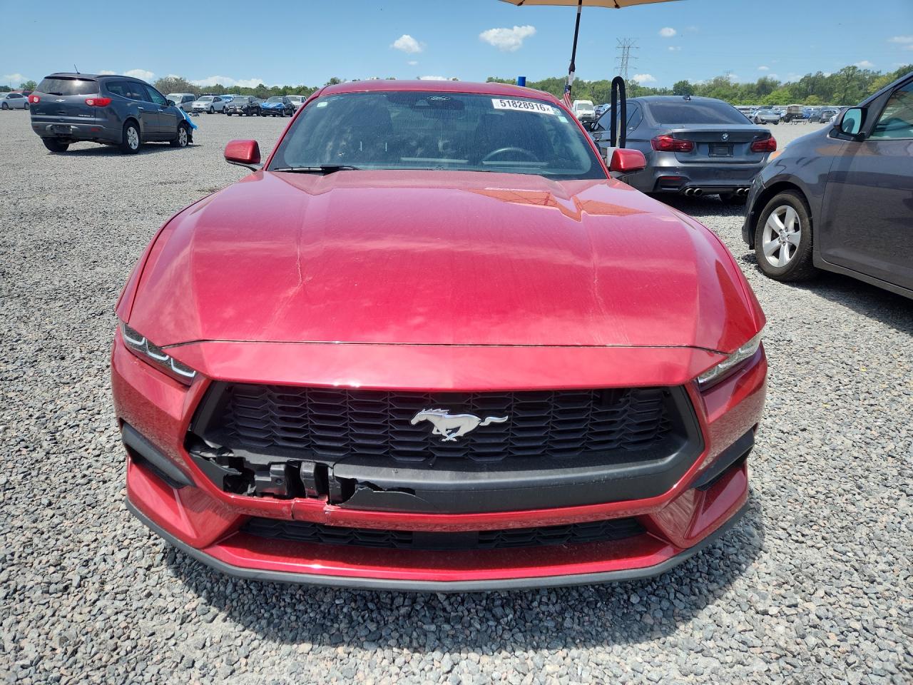 FORD MUSTANG 2024 — 6