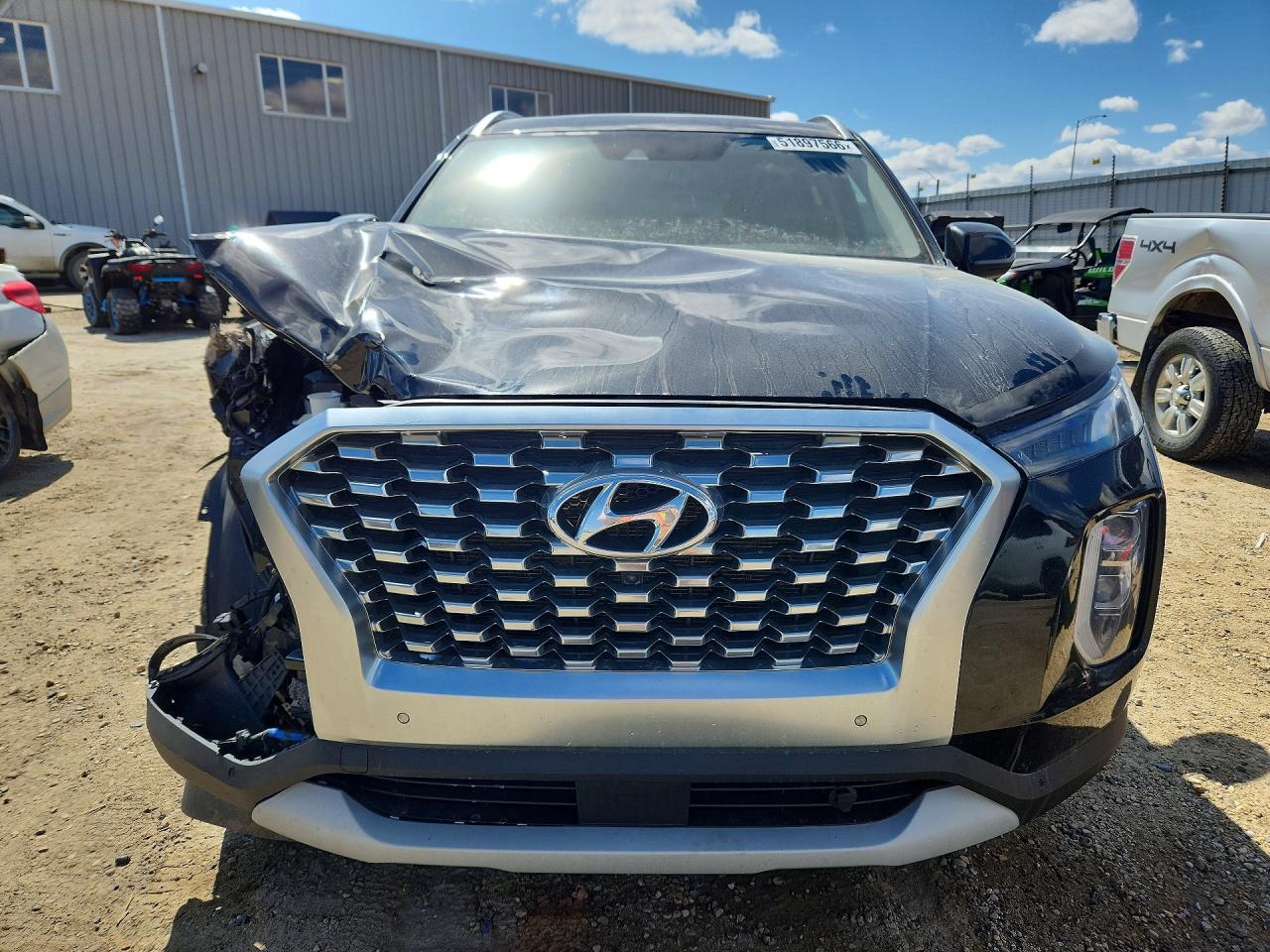 HYUNDAI PALISADE 2020 — 6
