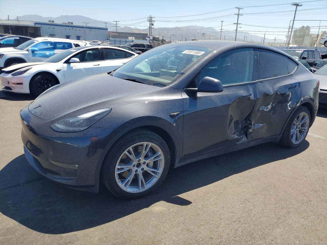 TESLA MODEL Y 2024 — 2