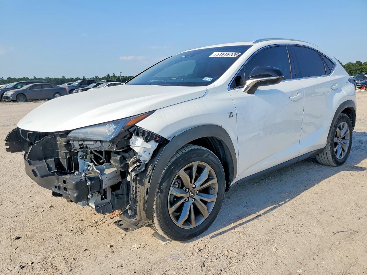 2019 LEXUS NX 300 F SPORT