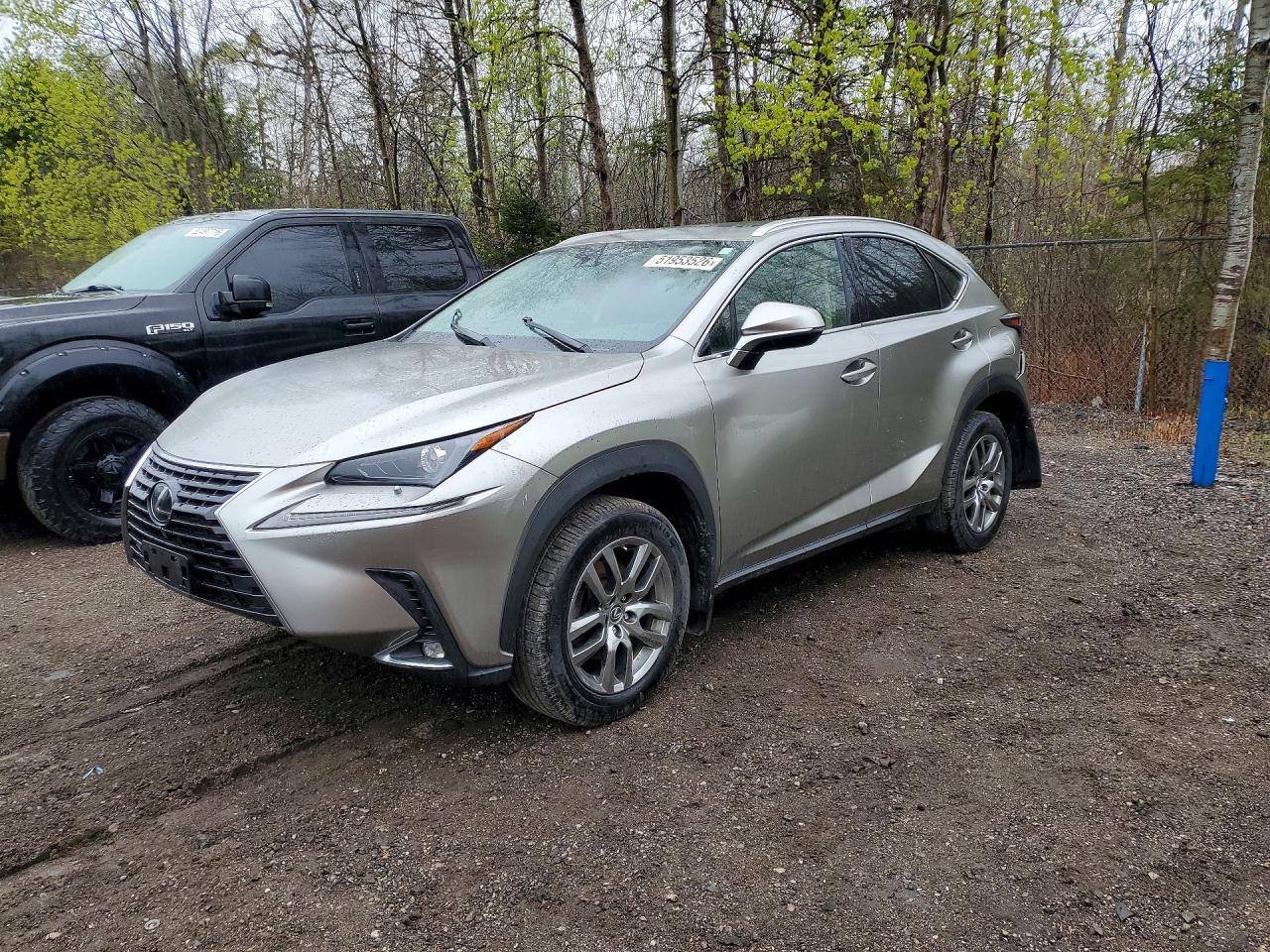 LEXUS NX 2020 — 2