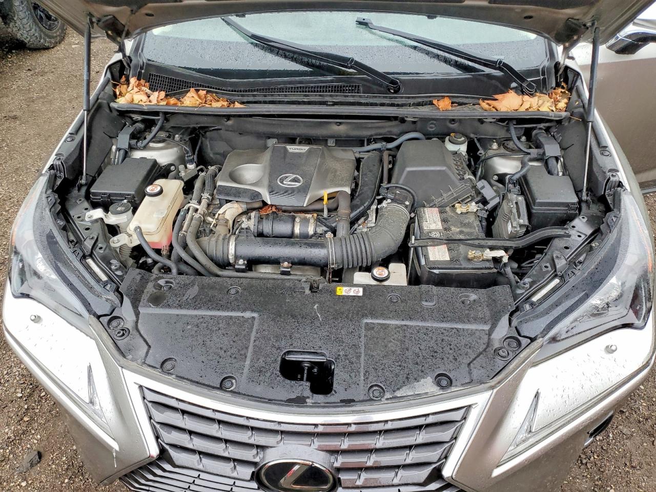 LEXUS NX 2020 — 13
