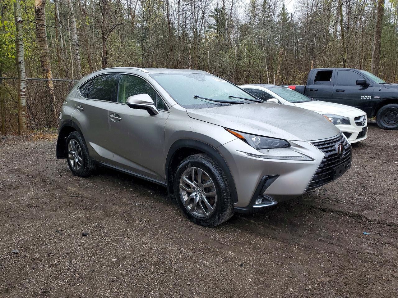 LEXUS NX 2020 — 5