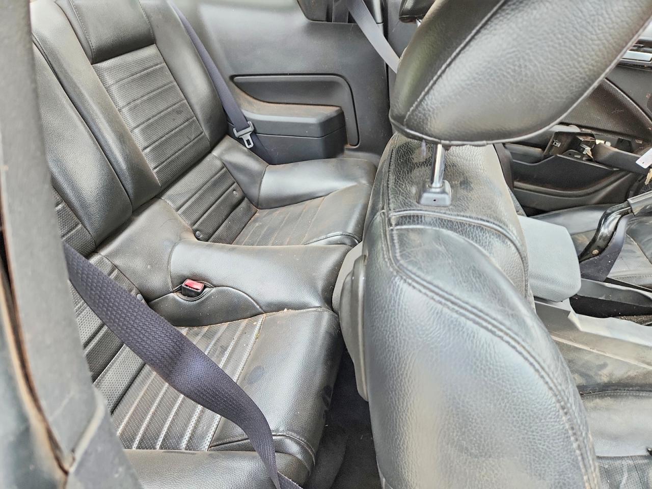 FORD MUSTANG 2006 — 11
